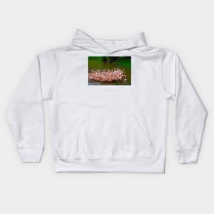 Flaming birds Kids Hoodie